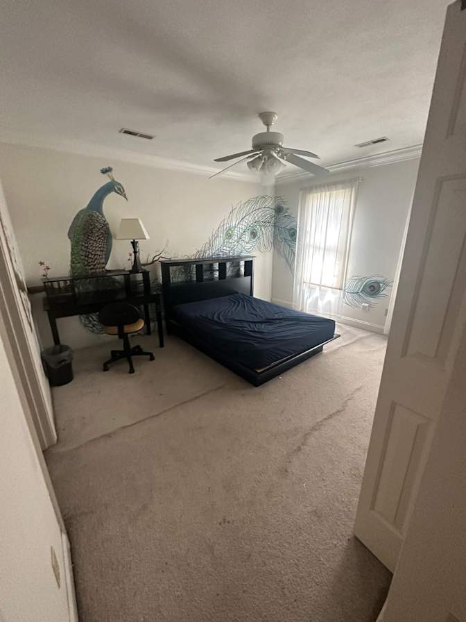 Steve's room