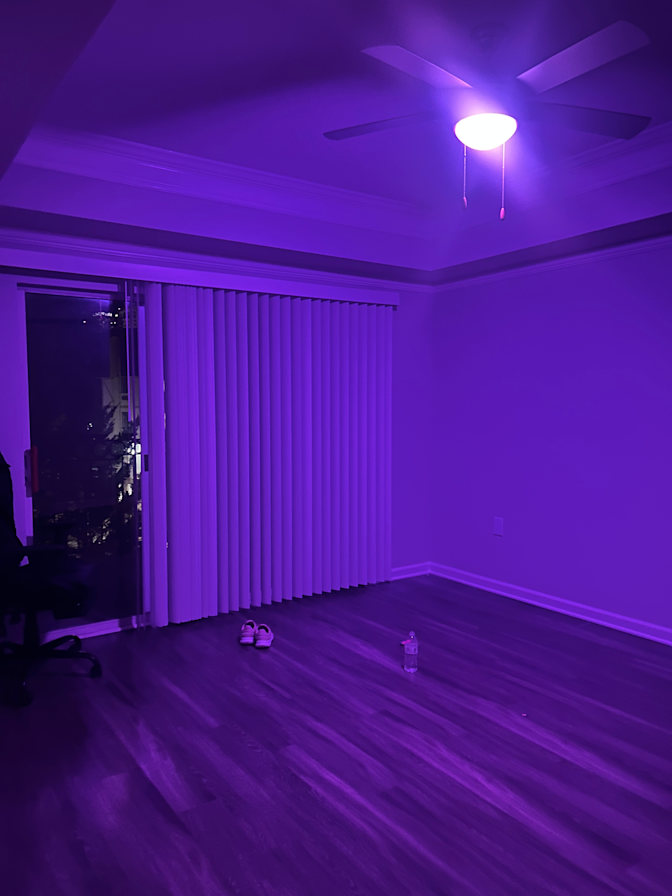Maanya Agarwal's room