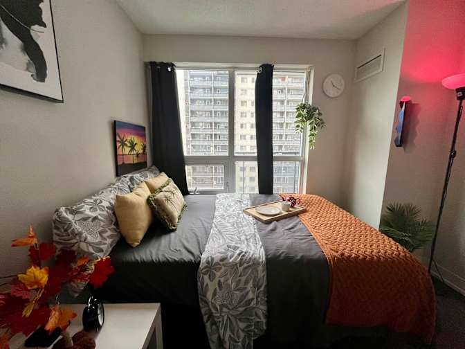 Alona's room