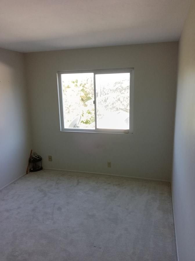 Michael Adams's room