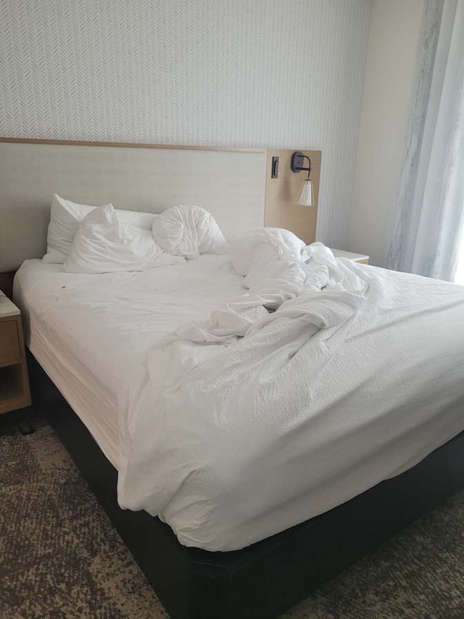 Fay Dolatshahi's room