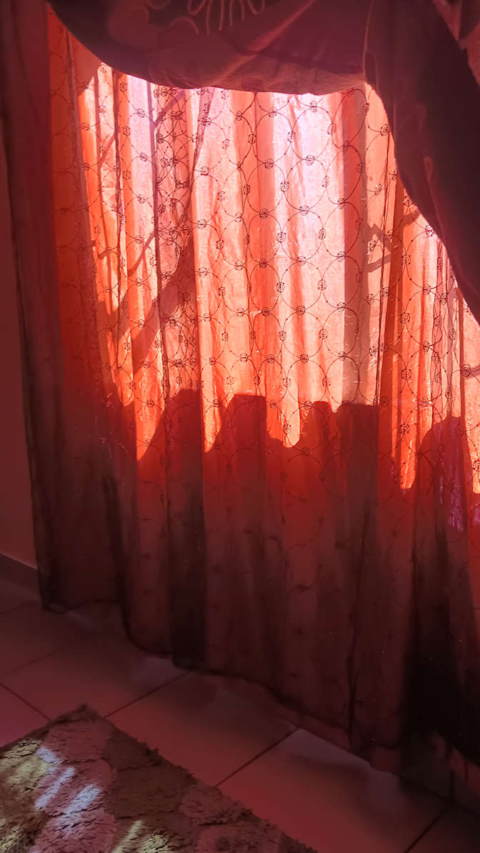 Veni's room