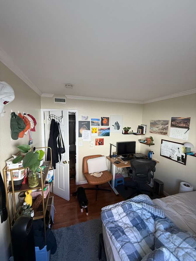 Peter's room