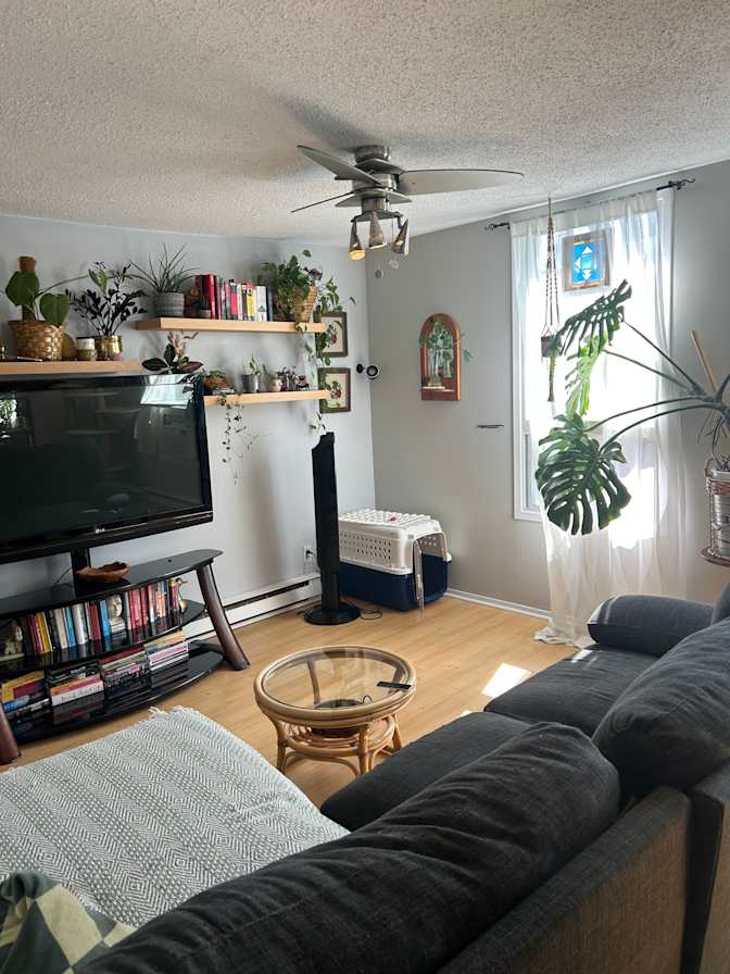 Brit Campbell's room