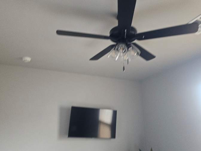 Asiawali's room
