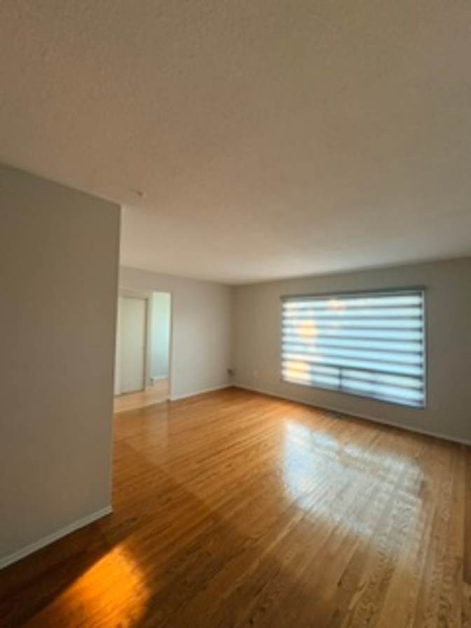 Dan Attisano's room