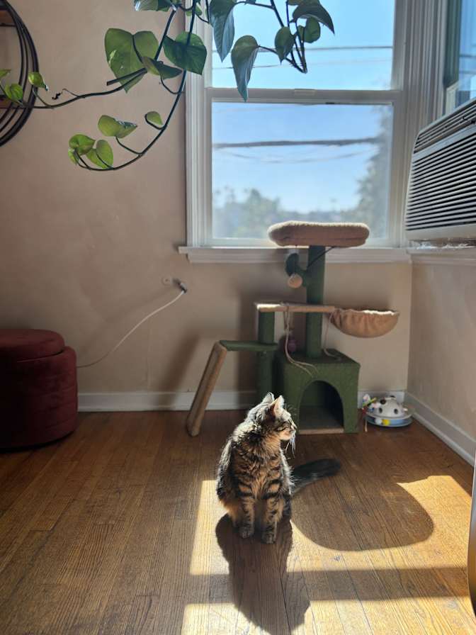 Hannah's room