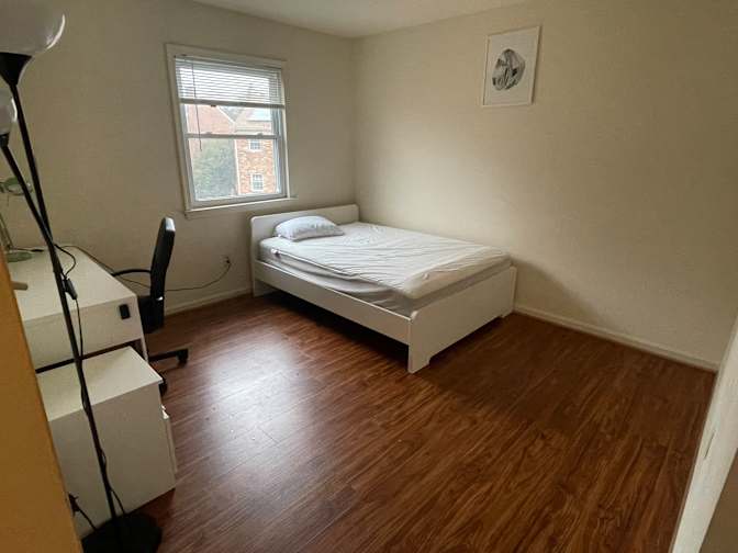 Saeeun's room