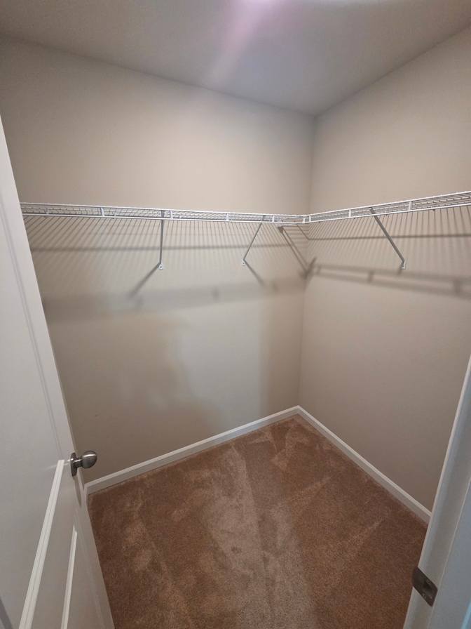 Daniel's room