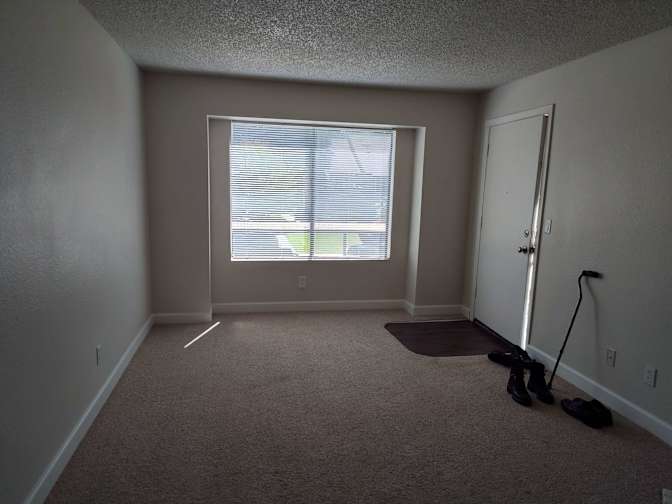 Pandora's room
