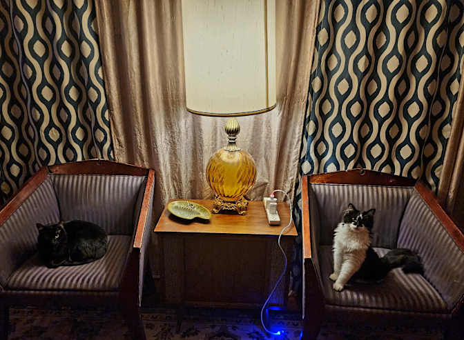 Calamity's room