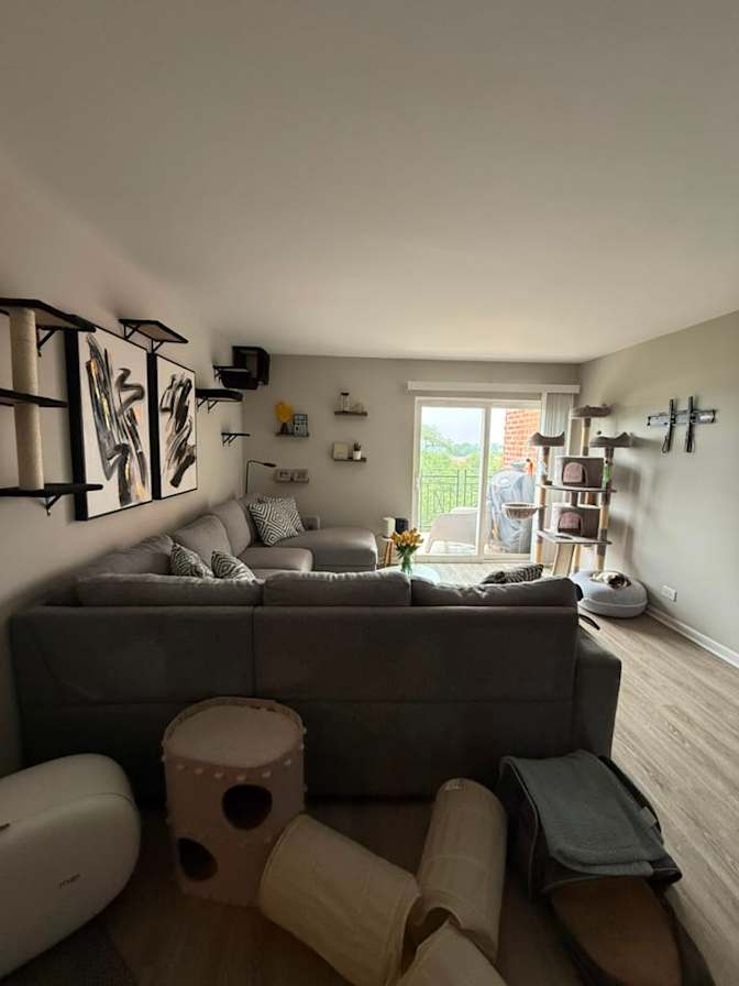 Heidy's room