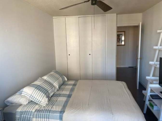 David's room