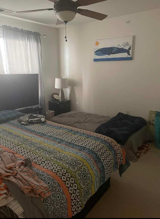Vaibhav's room