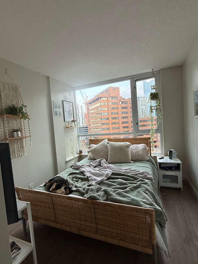 Madison's room