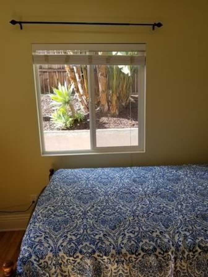 Don Peter's room