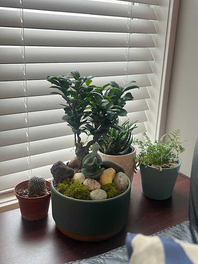 Scott's room