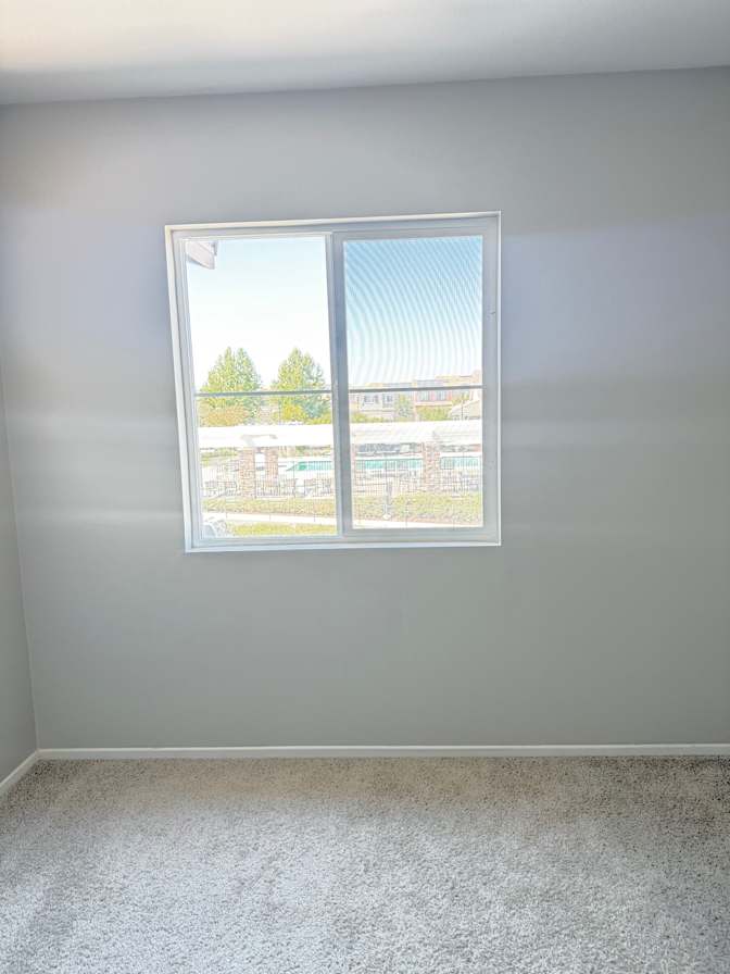Javier's room