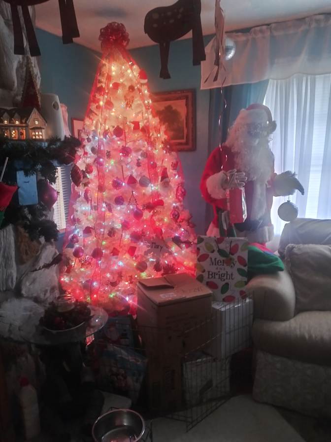 Margaret's room