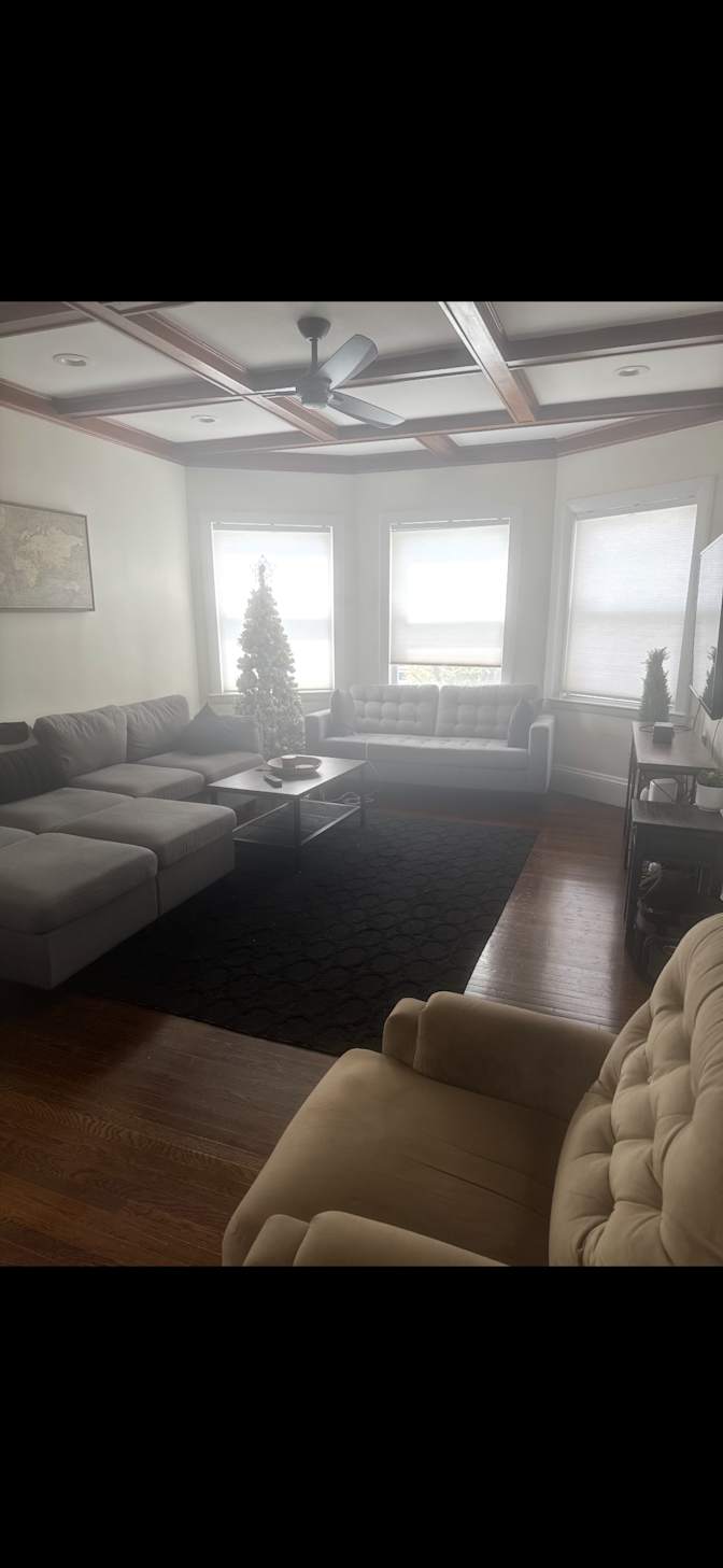 Shane's room