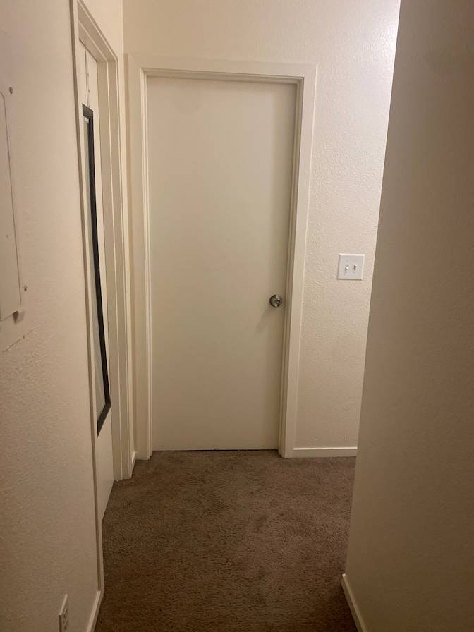 Maddi's room