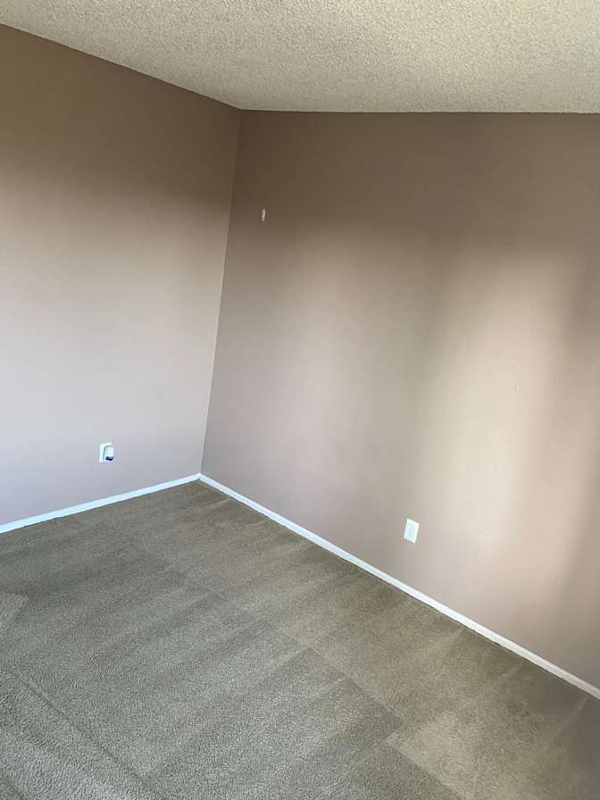 Luz's room