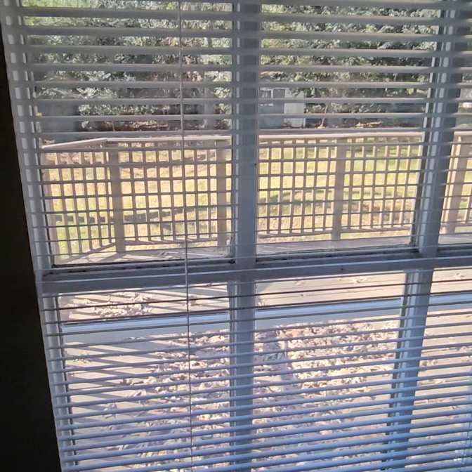 PIE Rentals's room
