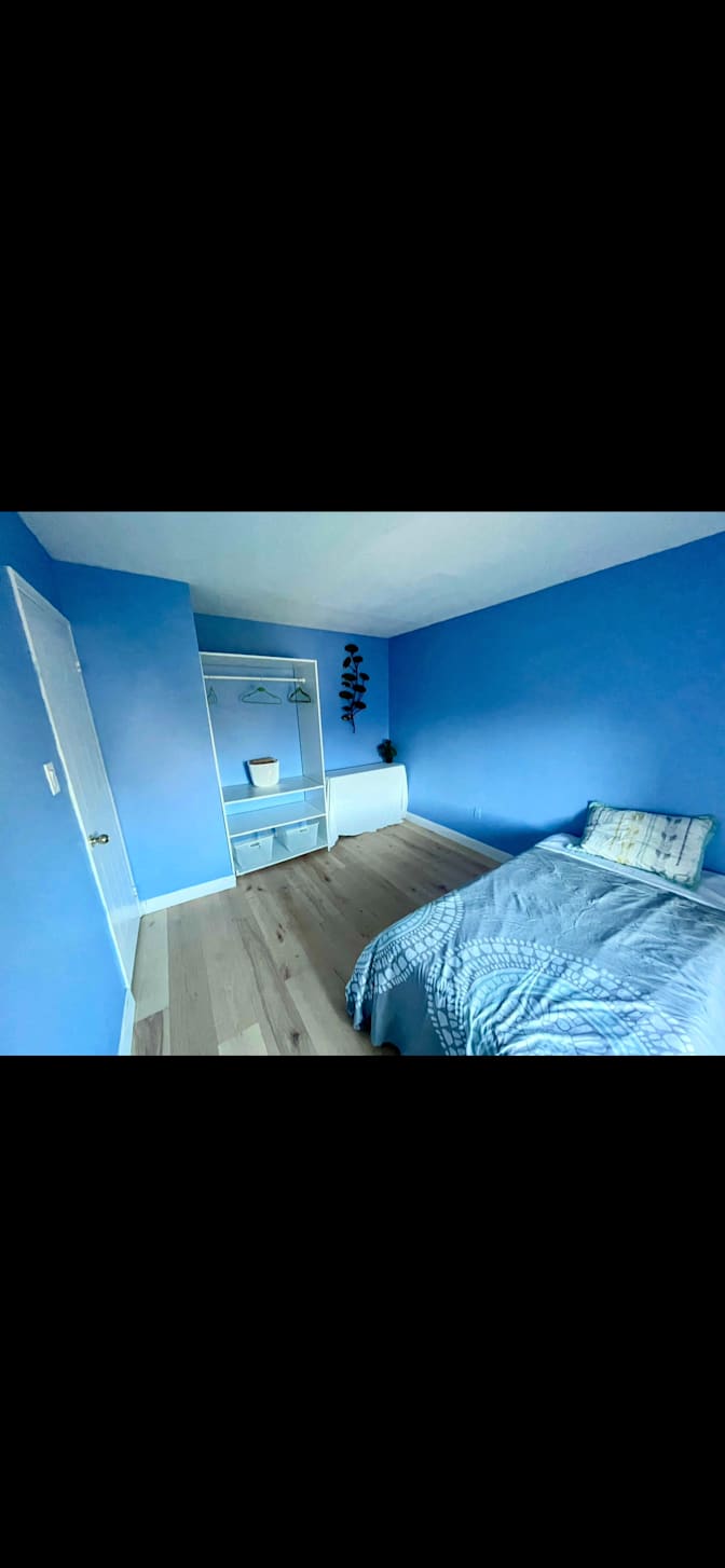 Anth's room