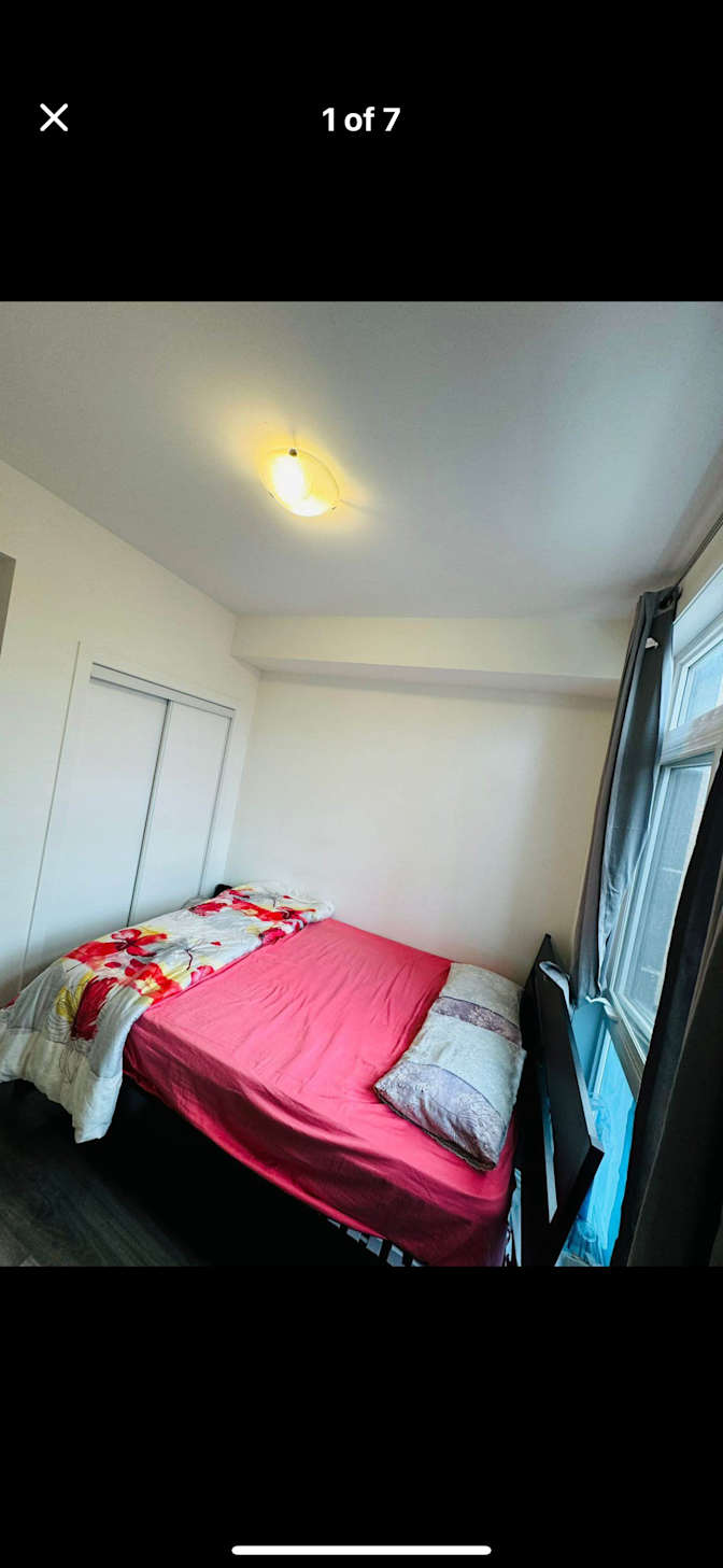 Meisam Rostaminia's room