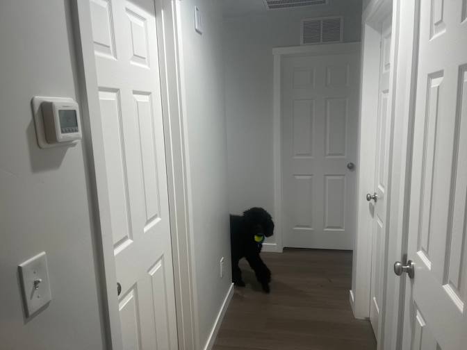 Tate's room