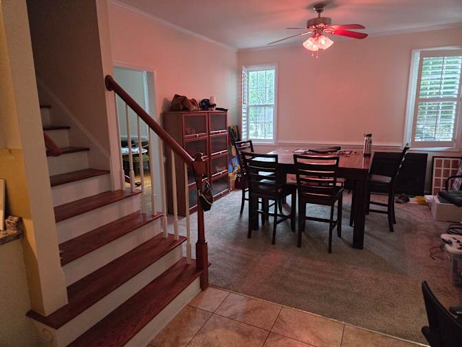 Cameron's room