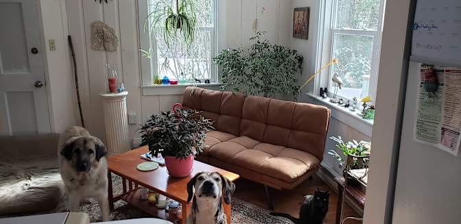 Maria's room