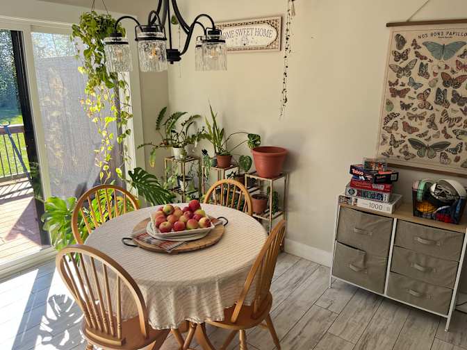 Ainsley Stapleton's room