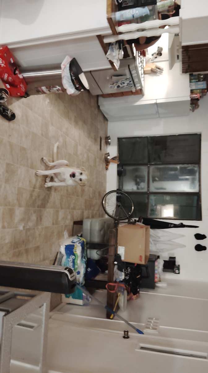 Skyler's room
