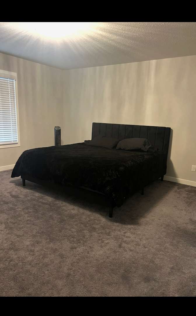 Brooke's room