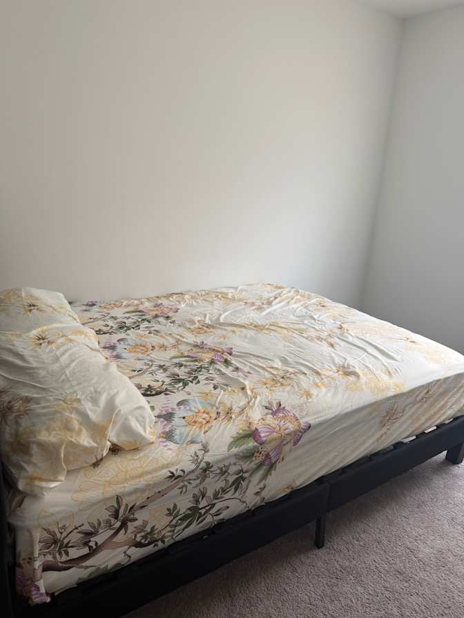 lauren's room
