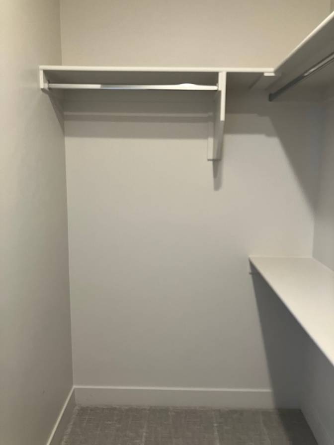 Shealeen's room