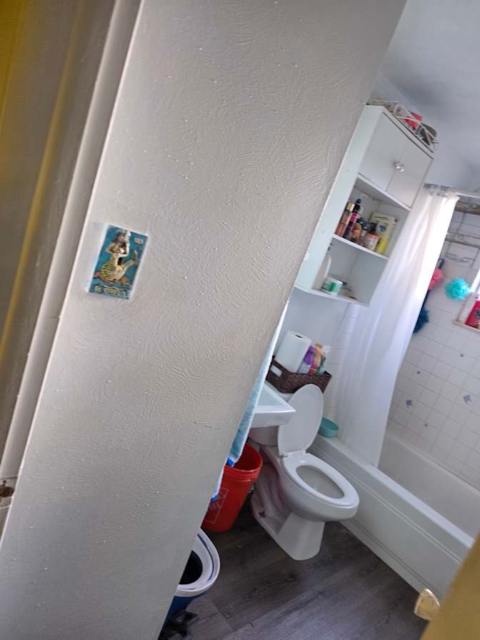 Mario's room