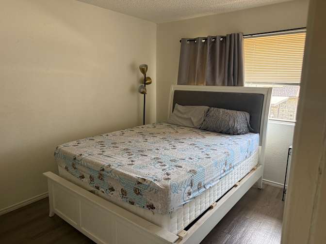 Mustafa's room