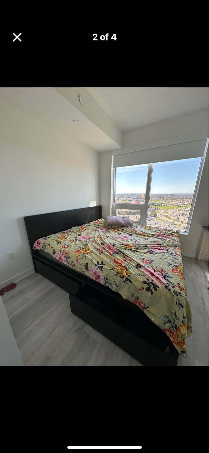 D's room