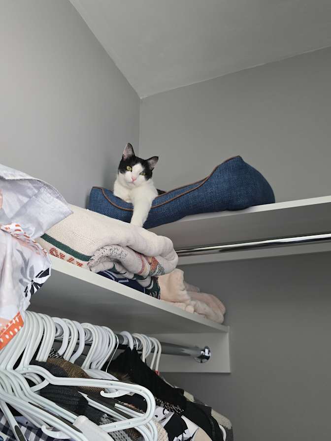 Ediri's room