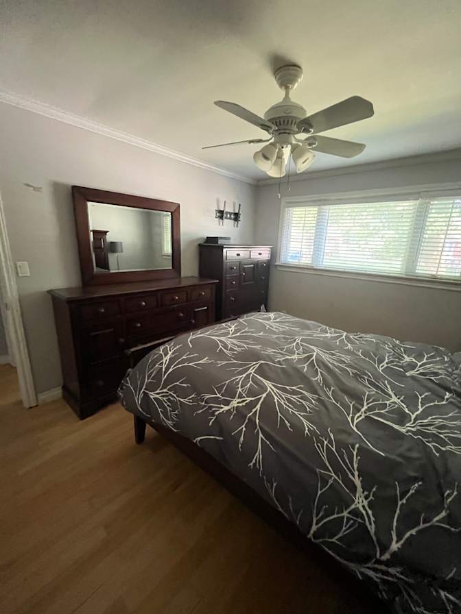 Paul Jackson's room