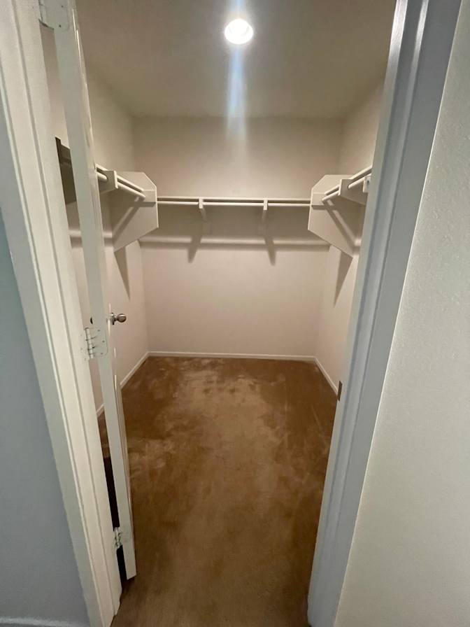 Rose's room
