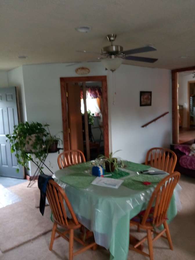 Lynn's room