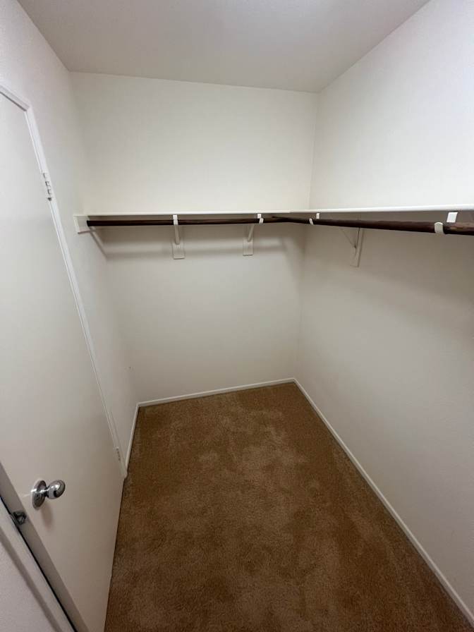 Daniel Cavazos's room
