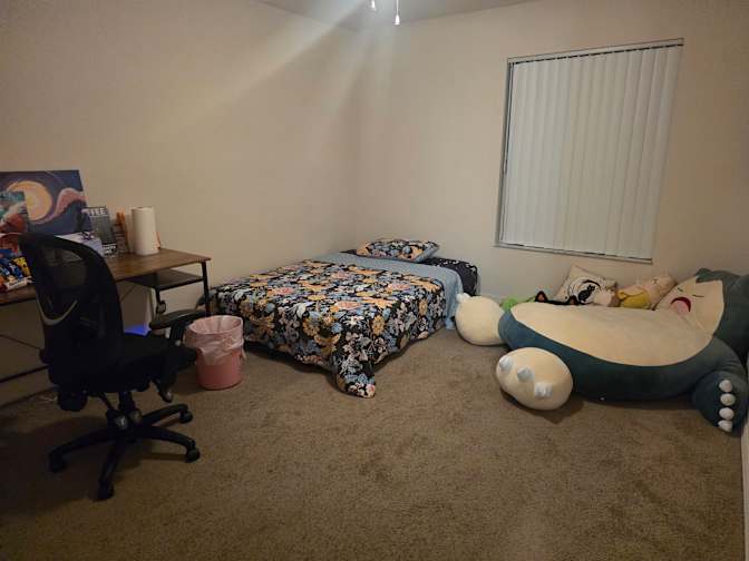 Cat's room