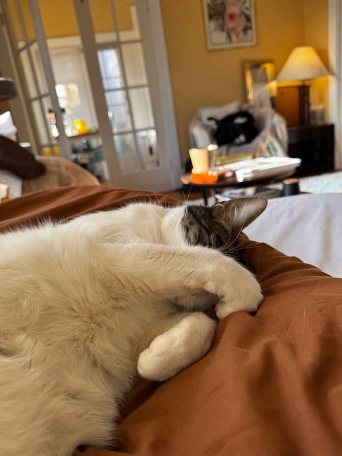 Kieron's room