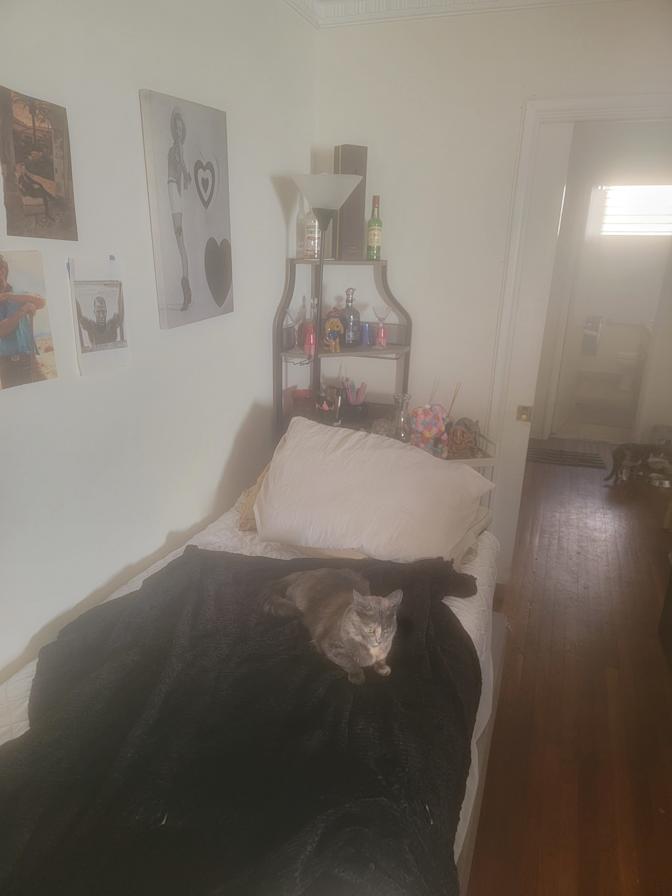 Steven's room