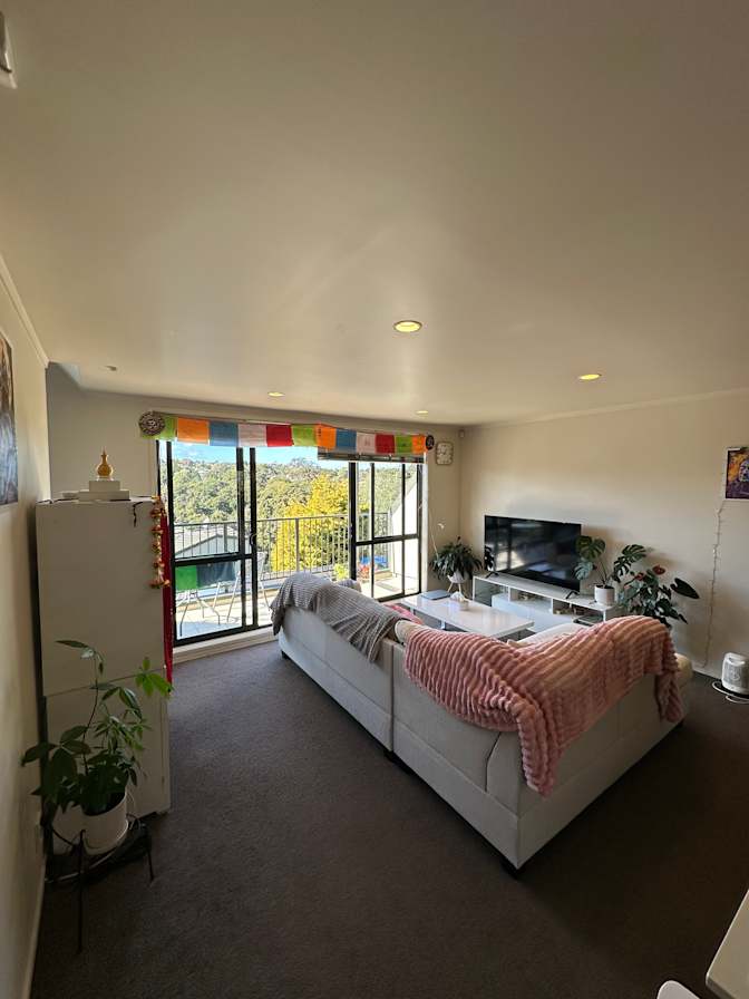 Anurag's room