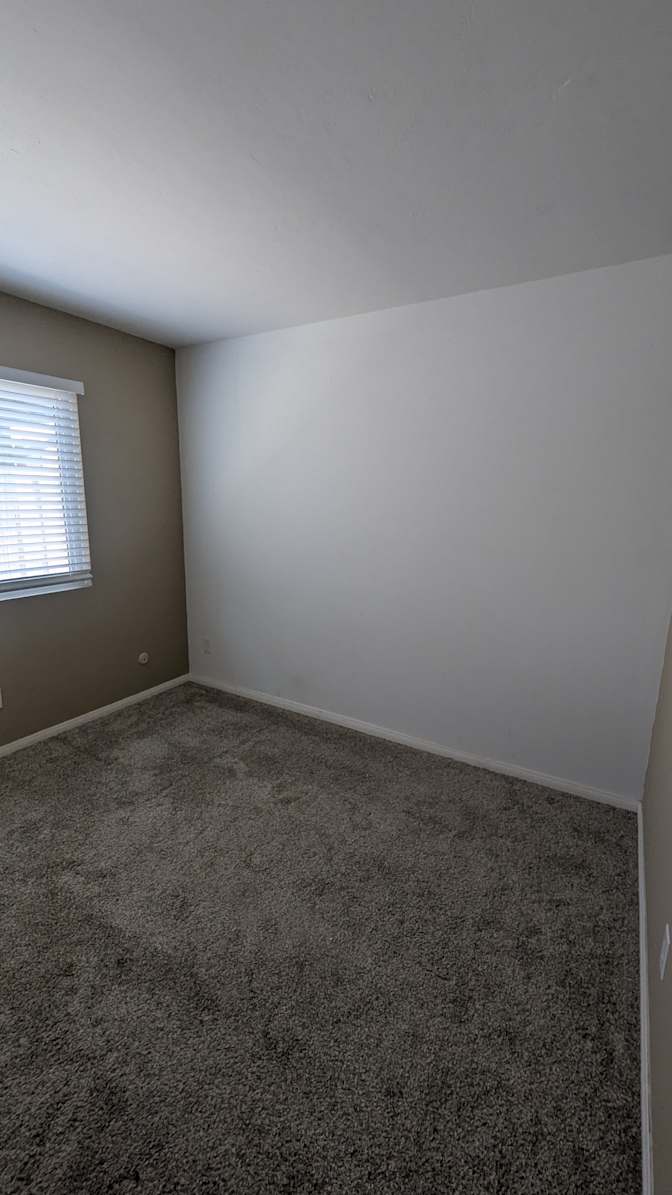 Tim's room